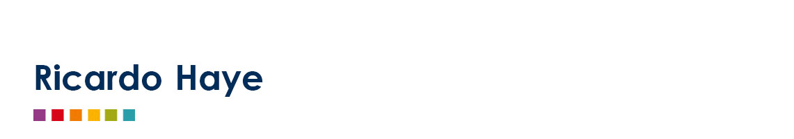  Ricardo Haye 